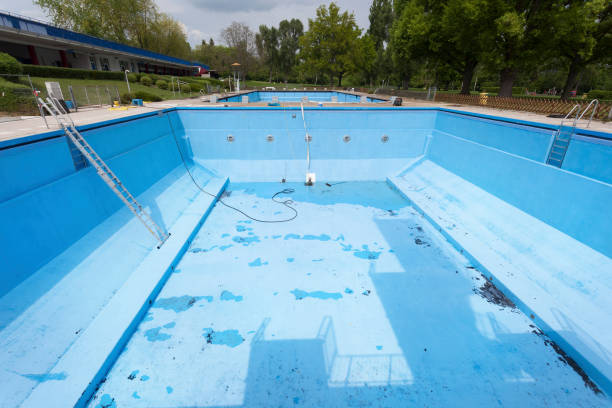 Best Water damage restoration near me  in Linden, MI