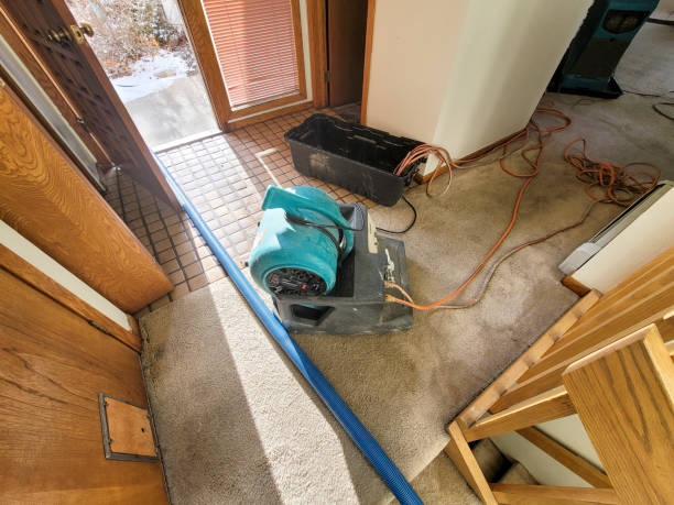 Best Commercial water damage restoration  in Linden, MI