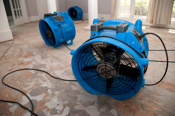 Best Water damage restoration near me  in Linden, MI