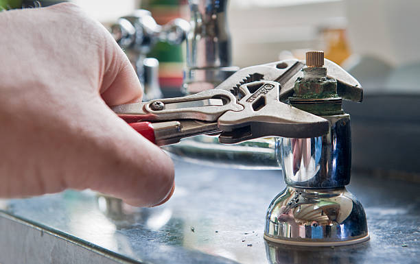 Best Water damage restoration mold remediation  in Linden, MI