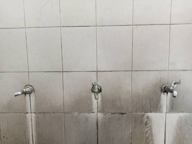 Best Residential water damage restoration  in Linden, MI
