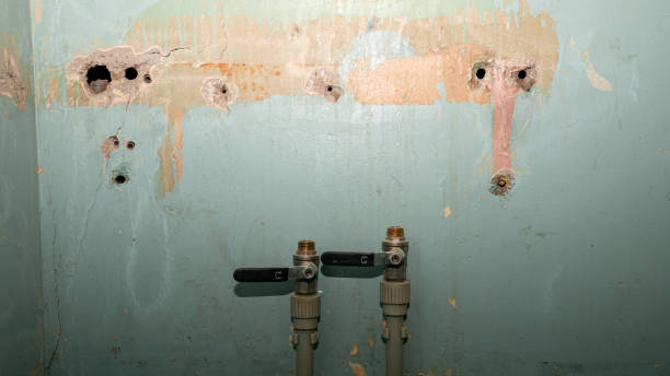 Best Ceiling water damage repair  in Linden, MI