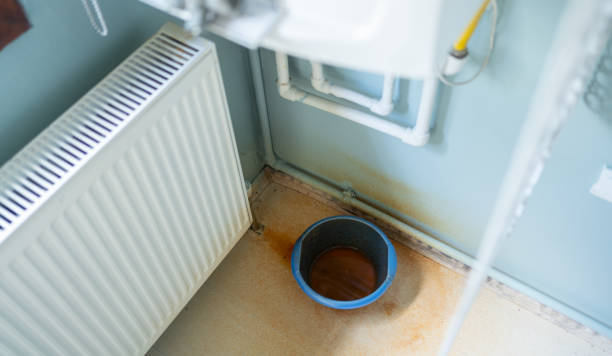Best Emergency water damage restoration  in Linden, MI
