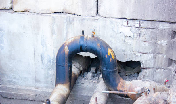 Best Sewage cleanup and water damage restoration  in Linden, MI