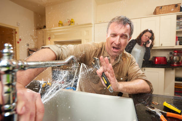 Best Water damage cleanup near me  in Linden, MI